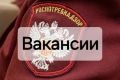 Нам нужны:. Рабочее место в г. Иркутске: ведущий специалист–эксперт отдела защиты прав потребителей главный специалист-эксперт отдела юридического обеспечения