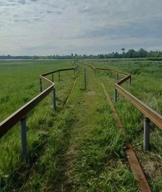 В Иркутске продолжаются работы по благоустройству экологической тропы «Птичья гавань» на особо охраняемой природной территории в микрорайоне Ново-Ленино