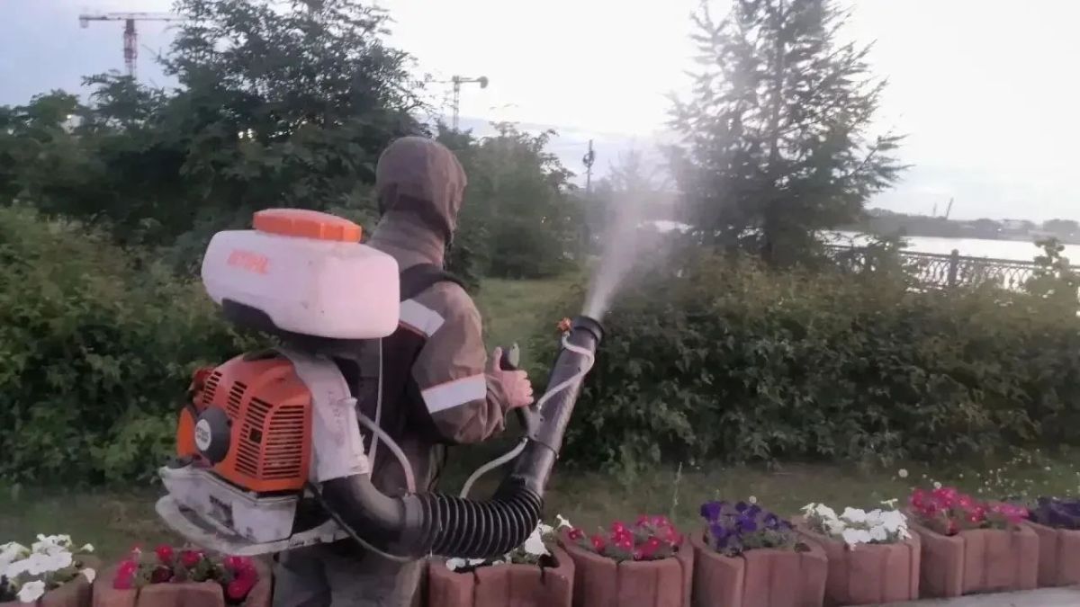Второй этап обработки зеленых насаждений от горностаевой моли завершился в Иркутске Второй этап обработки зеленых насаждений от горностаевой моли завершился в Иркутске