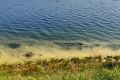Вода в Байкале вблизи КБЖД окрасилась в желто-зеленый цвет