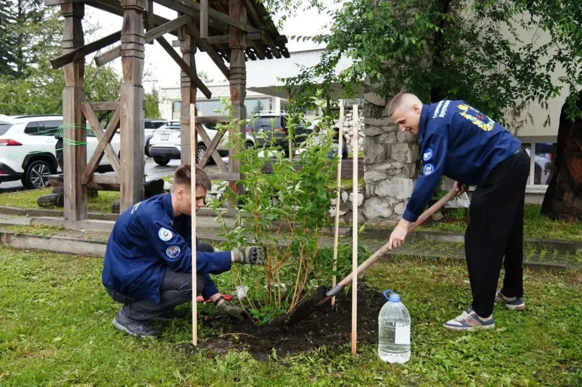 Около тысячи жителей Приангарья приняли участие в празднике ко Дню семьи, любви и верности Около тысячи жителей Приангарья приняли участие в празднике ко Дню семьи, любви и верности