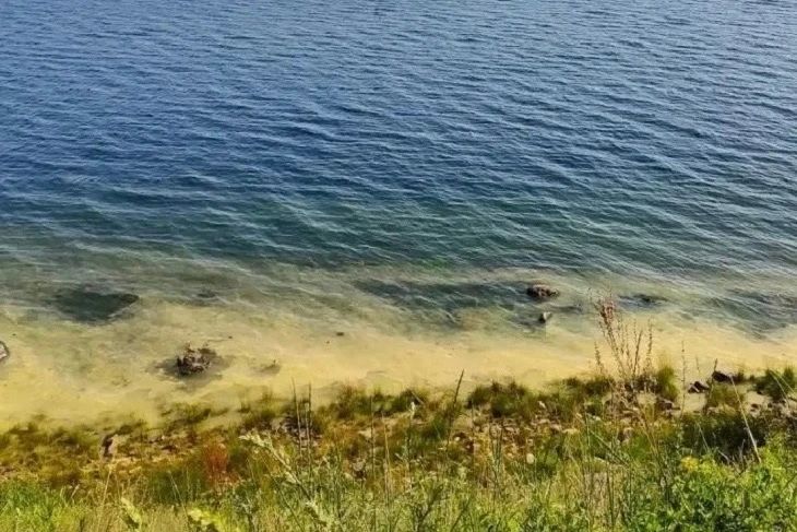 Вода в Байкале вблизи КБЖД окрасилась в желто-зеленый цвет