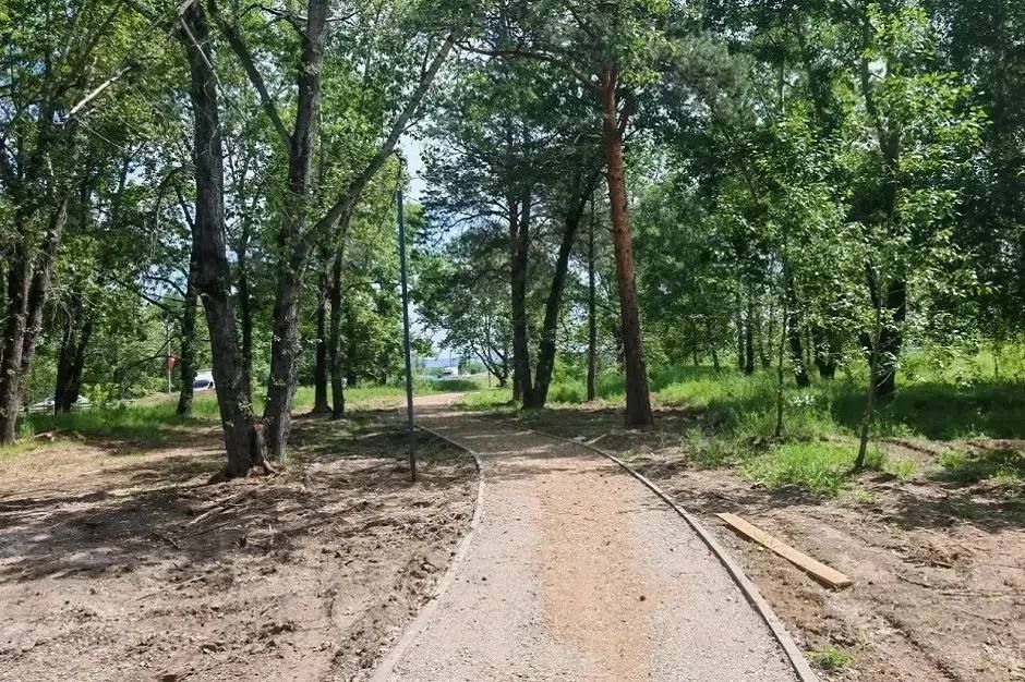 Место, где можно будет наблюдать за 210 видами птиц Место, где можно будет наблюдать за 210 видами птиц
