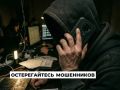 Родные и близкие погибших участников СВО все чаще становятся жертвами мошенников