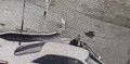� �������� ���������� ���������������� ����������� ��������, ������� �������� ����� �� ���� ������������������ � �������