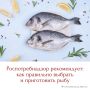 Рыба – источник белка, множества витаминов и минералов
