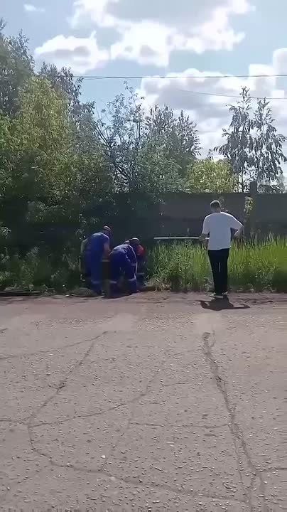 В Тайшете спасли собаку из четырехметрового колодца