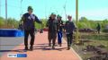 Экоакция «Зеленая волна» охватила в Иркутской области сразу десять городов