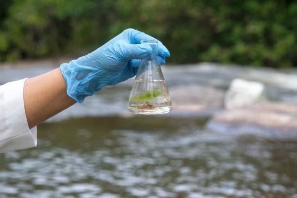 Результаты исследования воды водных объектов Иркутской области, расположенных в границах городских и сельских населенных пунктов
