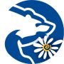 Поддержка участников специальной военной операции – приоритетная задача Единой России