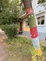 У деревьев своя мода. Ангарск, квартал 182, напротив ДК «Современник»