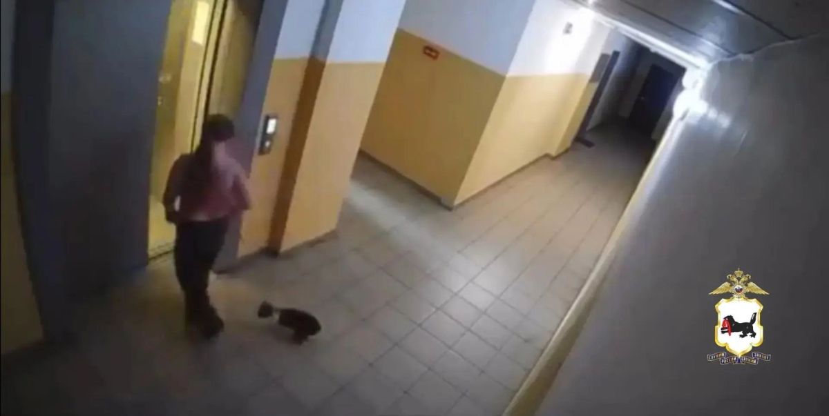 В Тулуне полиция разбирается с жестоким обращением к кошке
