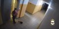 В Тулуне полиция разбирается с жестоким обращением к кошке
