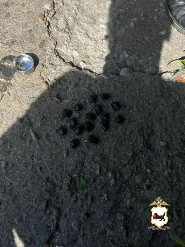 Жительница Нижнеудинска осуждена на 11 лет за сбыт наркотиков Жительница Нижнеудинска осуждена на 11 лет за сбыт наркотиков