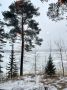 Завораживающий мир блинов: традиции и рецепты, которые стоит попробовать