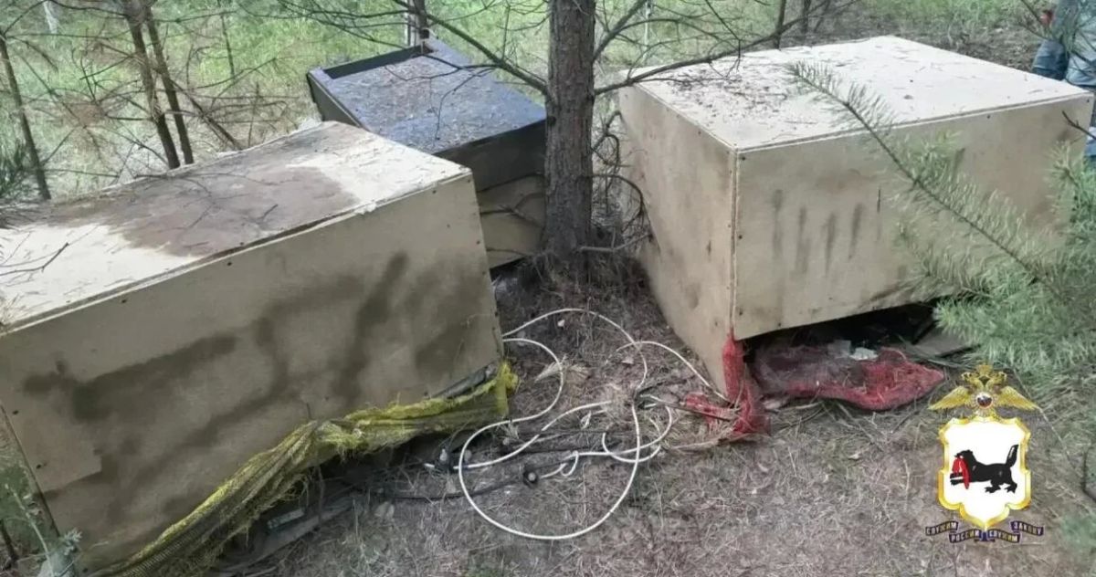 Нелегальная майнингферма в лесу: в Столбово нашли 12 «асиков» под маскировочной сеткой Нелегальная майнингферма в лесу: в Столбово нашли 12 «асиков» под маскировочной сеткой