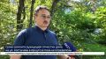 Сроки ремонта рухнувшей отмостки дома на ул