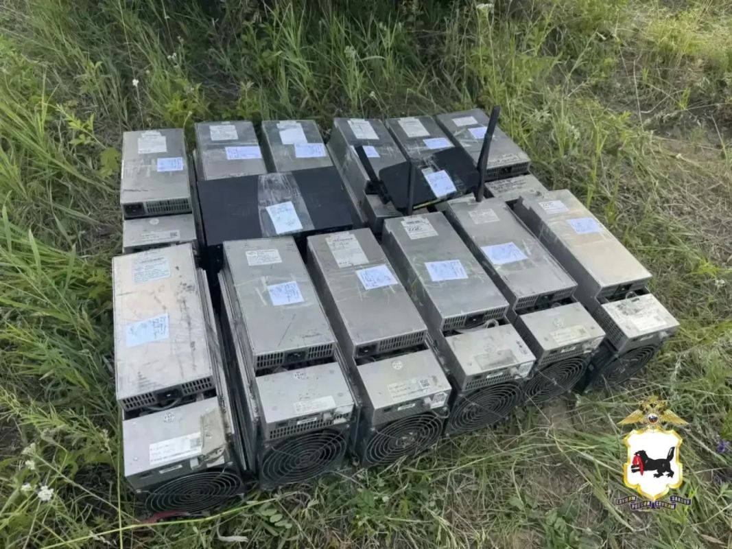 В Иркутском районе полицейские проводят проверку по факту незаконного подключения «асиков» в лесу В Иркутском районе полицейские проводят проверку по факту незаконного подключения «асиков» в лесу