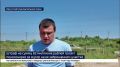 Штраф на 82 миллиона рублей грозит пенсионерке за мусор на ее участке