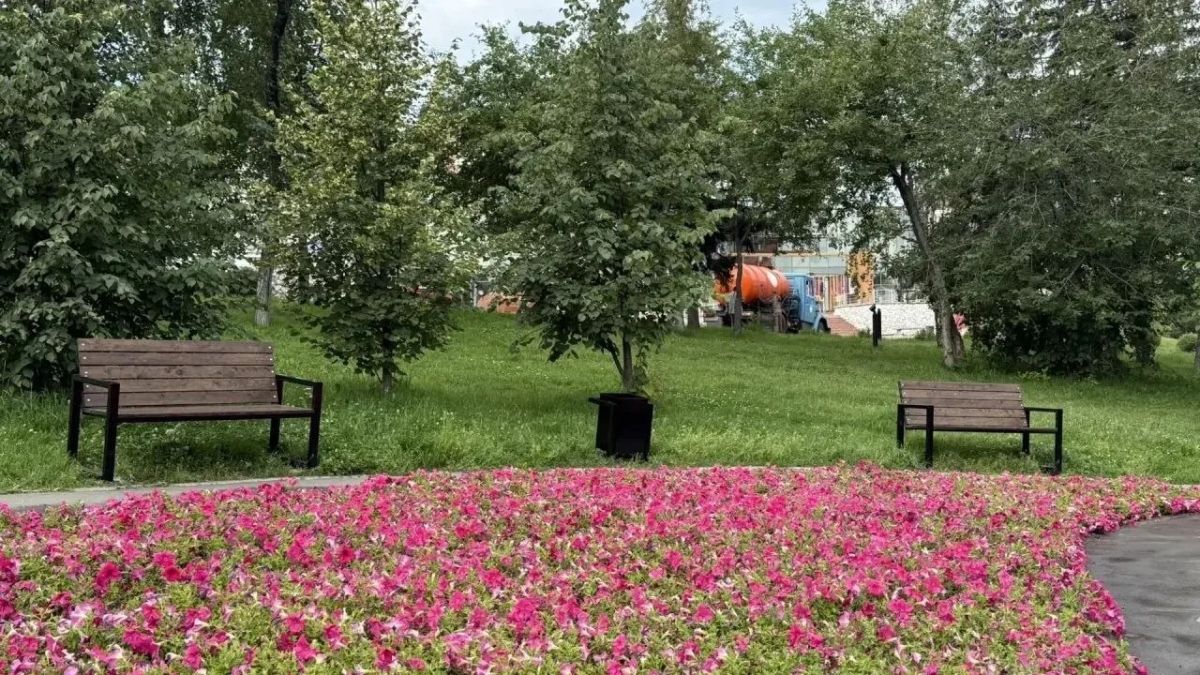Парк в Солнечном стал комфортнее: новые скамейки и свежий песок для волейбола Парк в Солнечном стал комфортнее: новые скамейки и свежий песок для волейбола