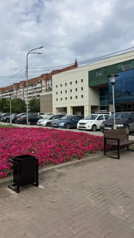 Парк в Солнечном стал комфортнее: новые скамейки и свежий песок для волейбола Парк в Солнечном стал комфортнее: новые скамейки и свежий песок для волейбола