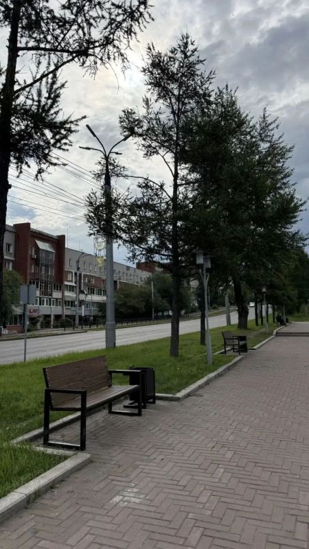 Парк в Солнечном стал комфортнее: новые скамейки и свежий песок для волейбола Парк в Солнечном стал комфортнее: новые скамейки и свежий песок для волейбола