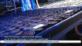 Ферму вертикального гидропонного выращивания на более чем 15 тысяч саженцев открыли в Шелехове