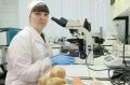 В Иркутской области проверили качество овощей и фруктов на рынках