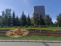 Доброе утро, Иркутск!. Клумба на проспекте Маршала Жукова