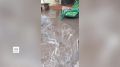 Машины ушли под воду, жители пересели на сапборды, а улицы превратились в реки
