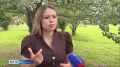 Новости других регионов. Жительница Красноярска ищет сестру, с которой её разлучили много лет назад надежде отыскать родственницу она рассказала эту непростую историю редакции «Вести-Красноярск»