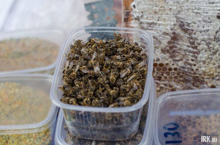 Пчелы массово погибли в Куйтунском районе
