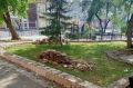 В Иркутске обновляют сквер «Кошка»