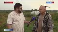 Сегодня всемирный день арбуза