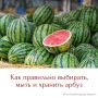 ���� ����� ������ ������ ������, ������� �� �����-�������� �� �������� �����