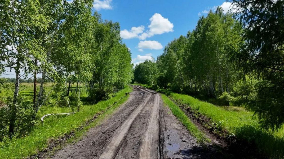 Иркутская область оказалась на 62-м месте в рейтинге регионов по качеству дорог