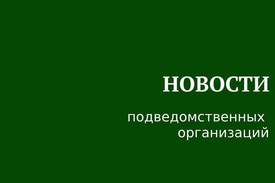 ГАУИО «Ирэкспертиза» выданы положительные заключения государственной экспертизы проектной документации в части проверки достоверности определения сметной стоимости в период с 27.07.2026-31.07.2026 по объектам экспертизы: