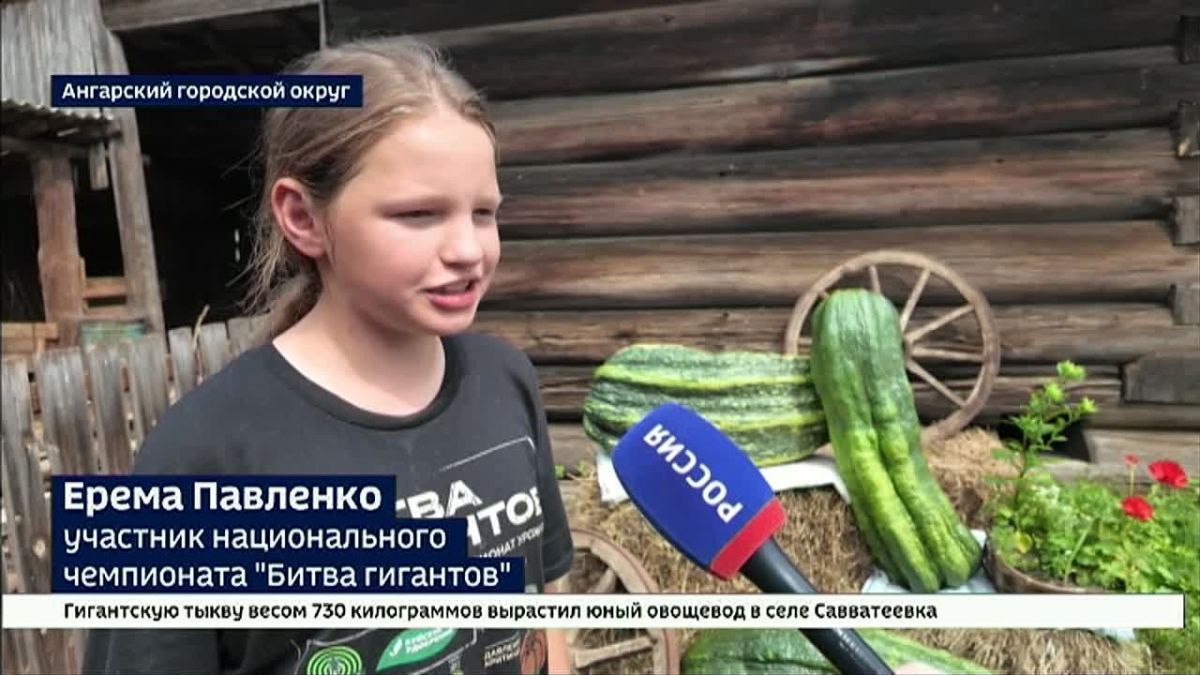 Гигантскую тыкву весом 730 кг вырастил 12-летний овощевод из с