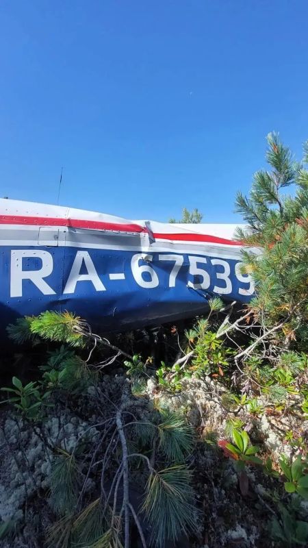 Двое суток в тайге. Первые кадры с места крушение Cessna 182 Двое суток в тайге. Первые кадры с места крушение Cessna 182