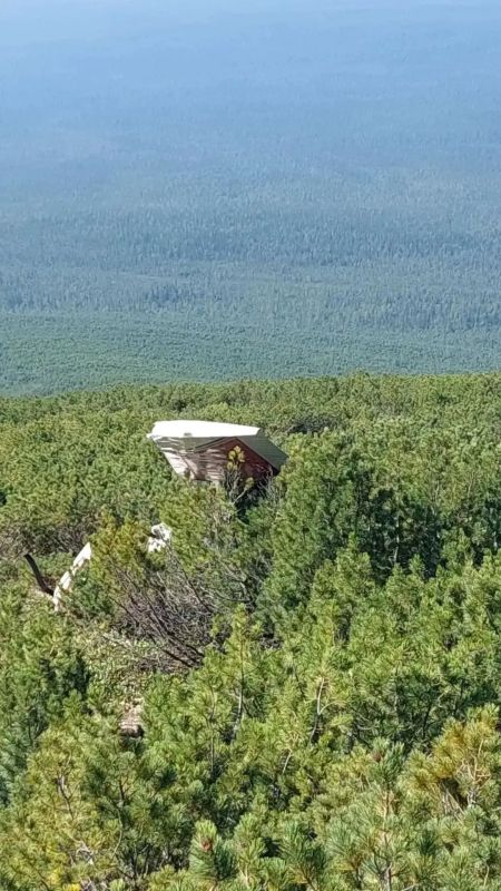 Двое суток в тайге. Первые кадры с места крушение Cessna 182 Двое суток в тайге. Первые кадры с места крушение Cessna 182