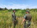 В Ангарском округе продолжается борьба с дикорастущей коноплей и наркорекламой