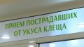395 человек обратились за неделю к врачам из-за укусов клещей в Иркутской области