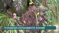 Приехал учиться, а попал под следствие