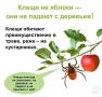 В Приангарье продолжается сезон клещевых инфекций