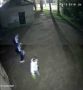 Мусор у бани: жители Усолья-Сибирского показали неуважение к городу