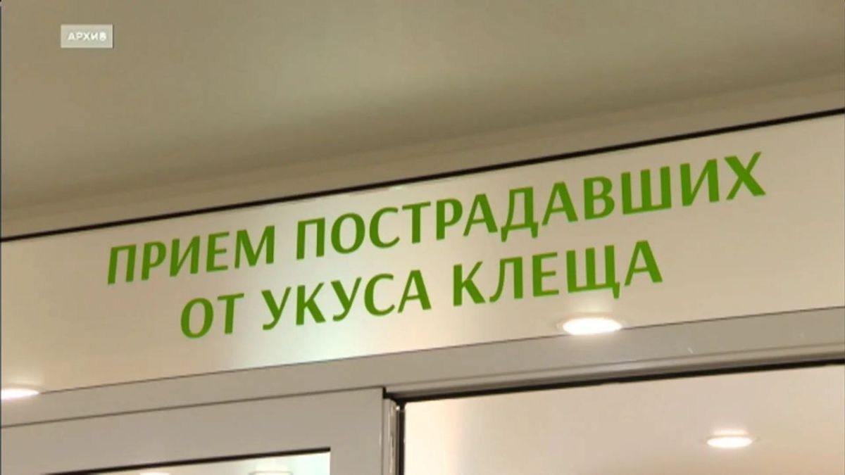 Больше 20 с половиной тысяч жителей Иркутской области пострадали от укусов клещей с начала эпидемиологического сезона