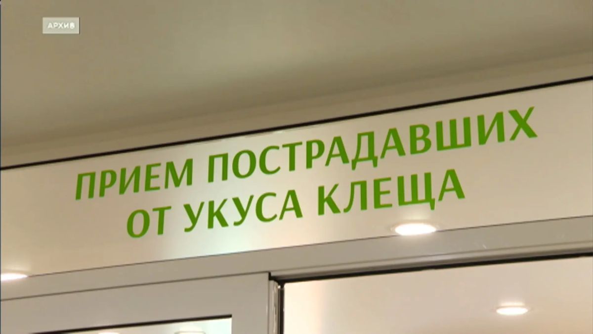 Больше 20 с половиной тысяч жителей Иркутской области пострадали от укусов клещей с начала эпидемиологического сезона