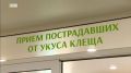 Больше 20 с половиной тысяч жителей Иркутской области пострадали от укусов клещей с начала эпидемиологического сезона