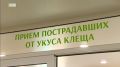 Больше 20 с половиной тысяч жителей Иркутской области пострадали от укусов клещей с начала эпидемиологического сезона