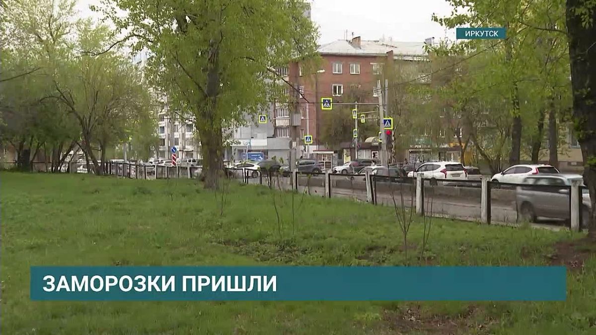 Заморзки прогнозируют на этой неделе в Иркутской области